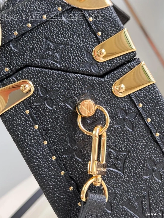 WIS VUITTON Monogram Canvas Box Camera LOUIS 0303